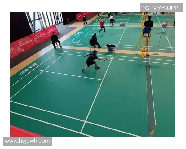 西安羽毛球队与重庆羽毛球队赛后分析力量对比与战术探讨