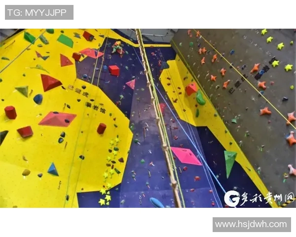 重庆攀岩队比赛经验的创新与挑战探讨热议攀岩运动的发展与未来
