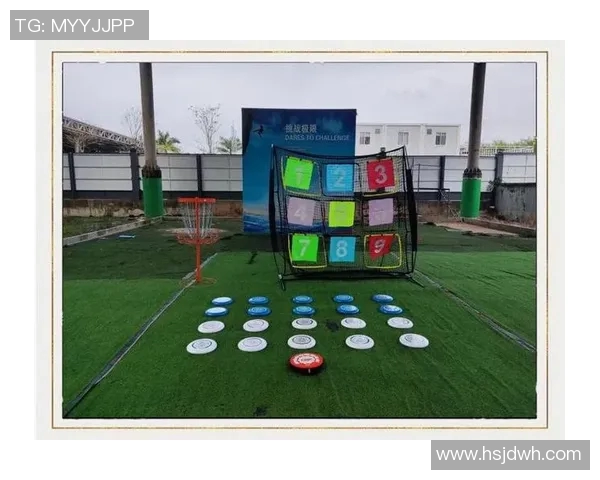 飞盘运动的魅力与挑战：深入了解深圳飞盘队的耐力与团队精神